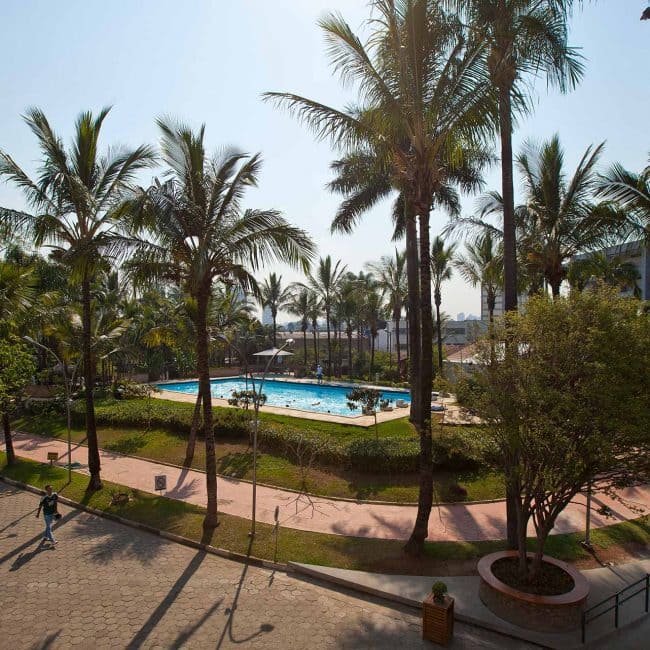 Vista de uma piscina cercada por palmeiras e árvores, em um dia ensolarado, com pessoas relaxando ao redor.